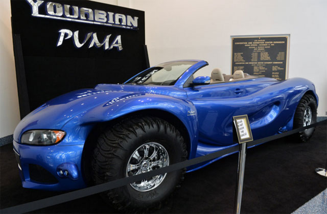 Youabian Puma
