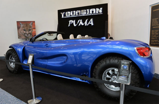 Youabian Puma