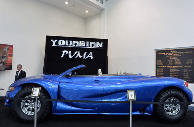 Youabian Puma