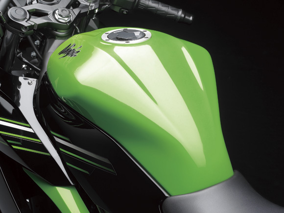 Ninja 250SL 
