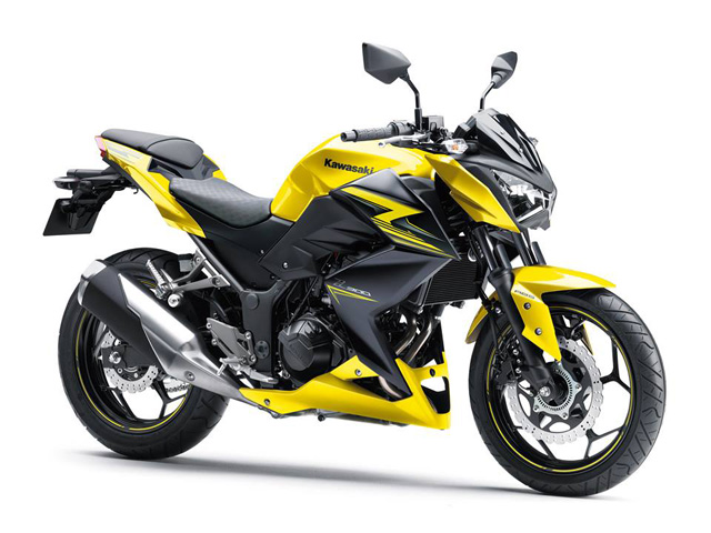 Z300