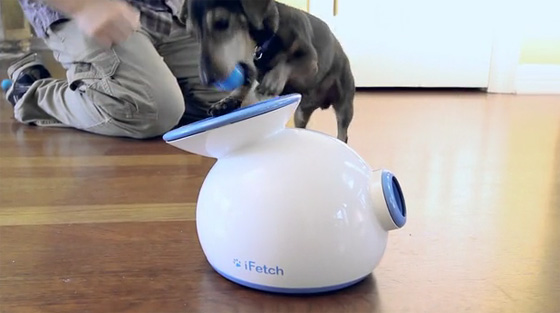 iFetch