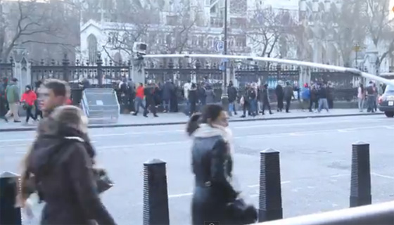 ไม้เซลฟี่ยาวที่สุดในโลก