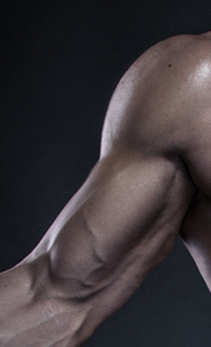 วิธีสร้างกล้ามเนื้อ