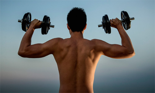 วิธีสร้างกล้ามเนื้อ