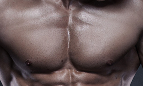 วิธีสร้างกล้ามเนื้อ