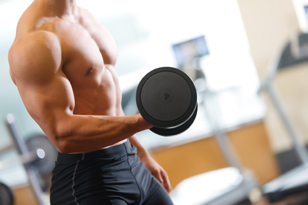 วิธีสร้างกล้ามเนื้อ