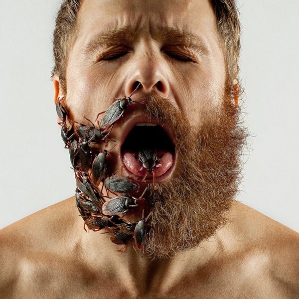 Surreal portraits