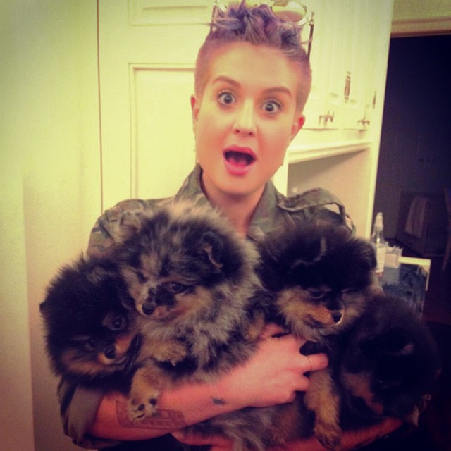 19 ลูกสาวของร็อกสตาร์ ที่ทั้งสวยทั้งเก่ง เจ๋งเป้งไปเลย 