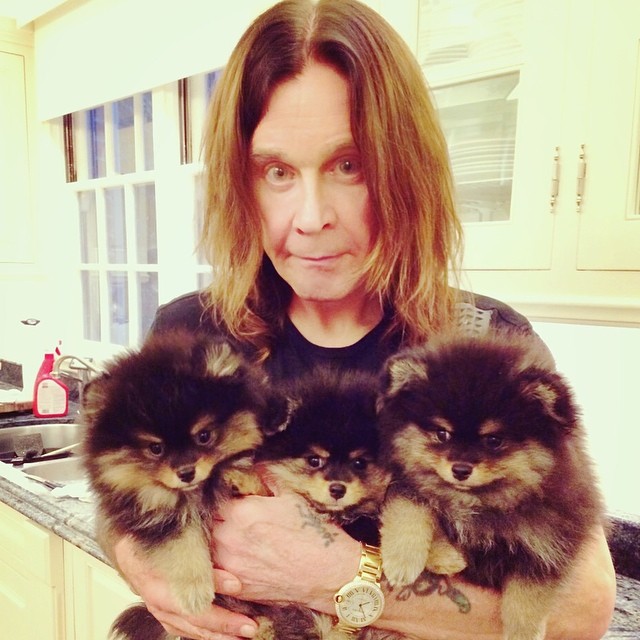 19 ลูกสาวของร็อกสตาร์ ที่ทั้งสวยทั้งเก่ง เจ๋งเป้งไปเลย 