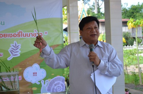 มมส สกัดสารพิชิตหอยเชร์รี่ 