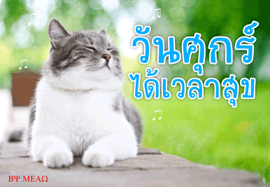 ดวงรายวัน วันที่ 31 พฤษภาคม 2556
