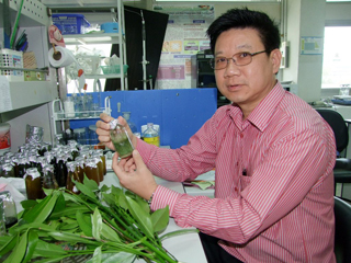 อาจารย์เภสัช ม.อ. พบสารออกฤทธิ์ต้านมะเร็งในชะมวงเป็นครั้งแรก 