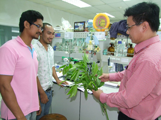 อาจารย์เภสัช ม.อ. พบสารออกฤทธิ์ต้านมะเร็งในชะมวงเป็นครั้งแรก 