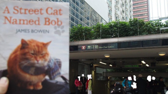 บ็อบ...แมวน้อยบาดเจ็บ ผู้ช่วยชีวิตอดีตคนติดเฮโรอีน