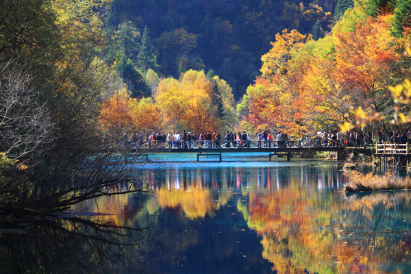 JiuZhaiGou
