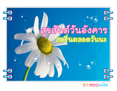 ดวงรายวัน วันที่ 22 มกราคม 2556
