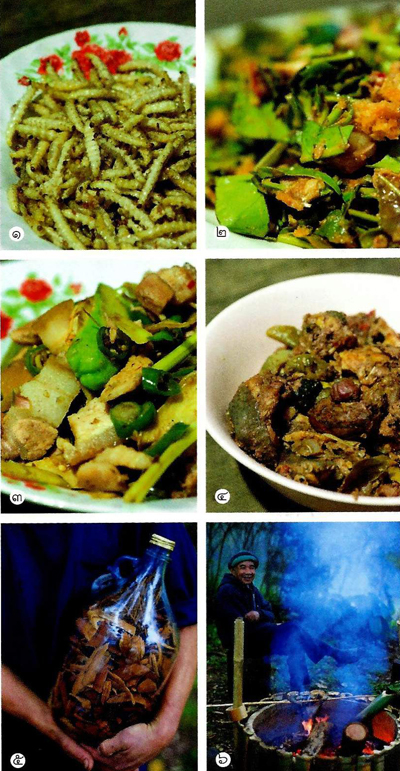 ผืนป่าห่มน้ำ ผืนฟ้าห่มดิน ดอยค้ำฟ้า