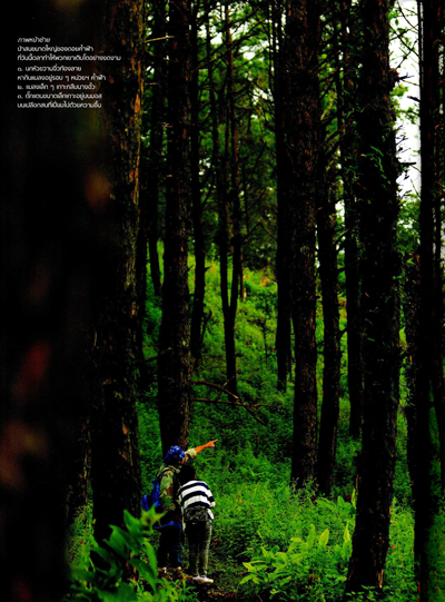 ผืนป่าห่มน้ำ ผืนฟ้าห่มดิน ดอยค้ำฟ้า