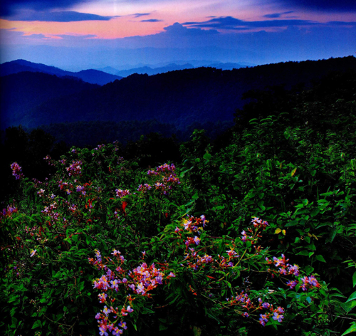 ผืนป่าห่มน้ำ ผืนฟ้าห่มดิน ดอยค้ำฟ้า