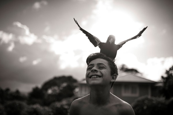 นกกางเขนไม่ลืมบุญคุณ ! กลับมาเยี่ยมครอบครัวที่ช่วยชีวิตทุกวัน