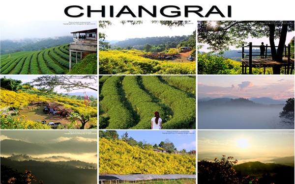 ภาพทุ่งดอกบัวตองดอยหัวแม่คำ สวรรค์กลางขุนเขาสุดตระการตา