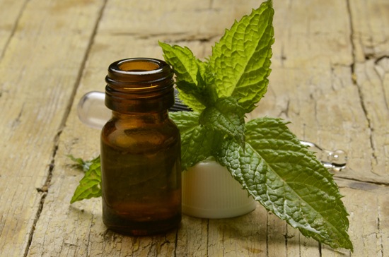 6 เหตุผลสุดเก๋ที่ทำให้วันหยุดปีใหม่ดีต่อสุขภาพเกินคาด